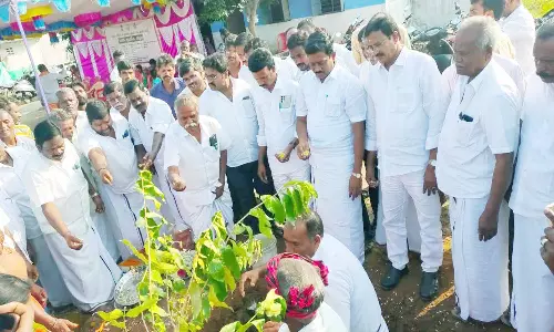 ரூ.19.33 கோடியில் கிராம தார்சாலை பணிகள்