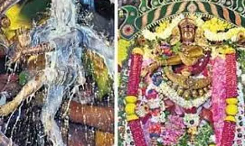 பேரூர் பட்டீஸ்வரர் கோவிலில் ஆருத்ரா தரிசன விழா
