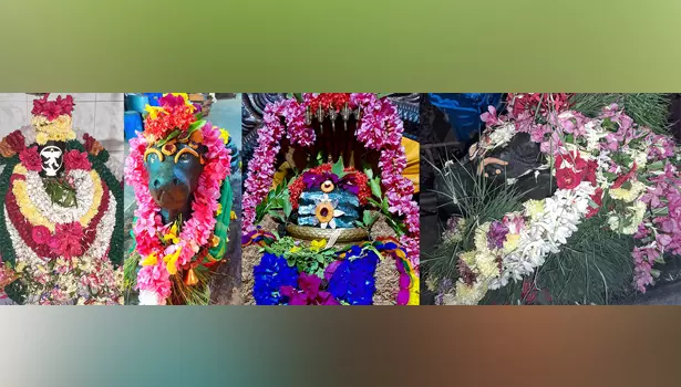 பரமத்திவேலூர் பகுதி சிவன் கோவில்களில் நந்தி பெருமானுக்கு சிறப்பு அபிஷேகம்