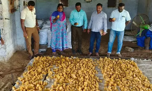 உடுமலை ஆலைகளில் அதிகாரிகள் அதிரடி ஆய்வு- கலப்படம் செய்த 2500 கிலோ வெல்லம் பறிமுதல்