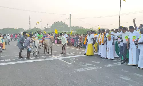 விளாத்திகுளம் அருகே  கட்டபொம்மன் பிறந்தநாள் விழாவை முன்னிட்டு மாட்டு வண்டி பந்தயம்