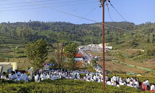 கோத்தகிரி அடுத்த பேரகணியில் ஹெத்தையம்மன் கோவில் திருவிழா
