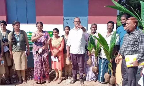 வாசுதேவநல்லூர் அருகே 300 குடும்பங்களுக்கு தென்னங்கன்றுகள்