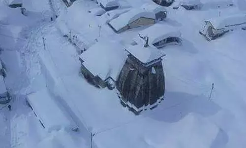 கோத்தகிரியில் கடும் பனி- குளிர்