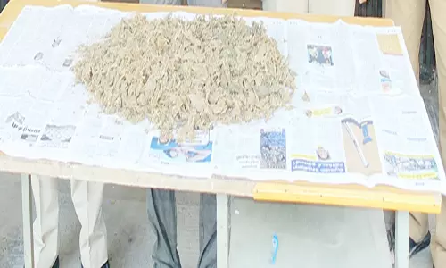 ஆந்திராவில் இருந்து கஞ்சா கடத்தி குடியாத்தத்தில் விற்பனை