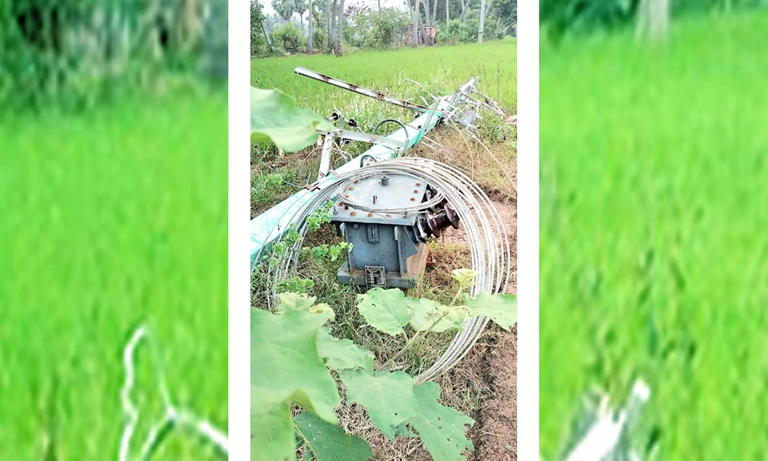 தென்காசி அருகே  வயல்வெளியில் சாய்ந்து கிடக்கும் டிரான்ஸ்பார்மர்- சரி செய்ய விவசாயிகள் கோரிக்கை