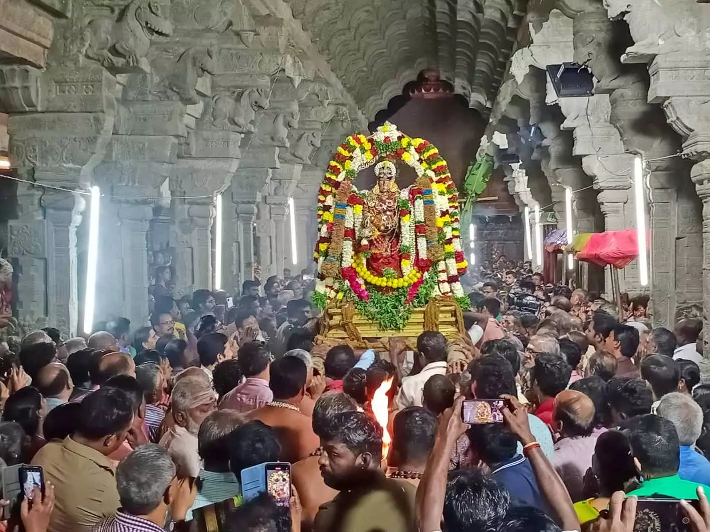 திருவாதிரை திருவிழா : நெல்லையப்பர் கோவில் தாமிரசபையில்  ஆருத்ரா தரிசனம் கோலாகலம்