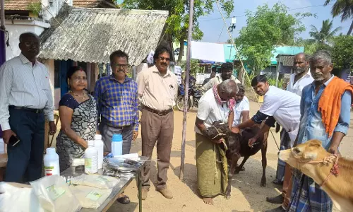 திருமானூர் அருகே கால்நடை சுகாதார மற்றும் விழிப்புணர்வு முகாம்