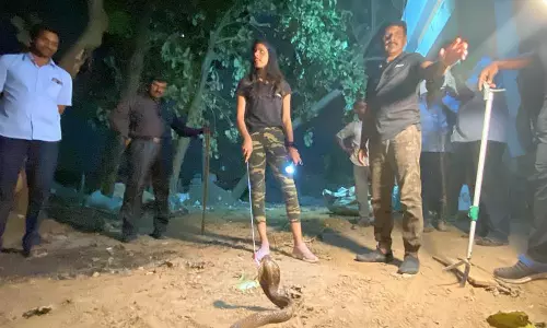 மல்லைய சுவாமி ஜீவசமாதியில் படமெடுத்து ஆடிய நல்ல பாம்பு- பக்தர்கள் பரவசம்