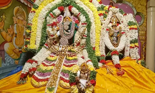 மீனாட்சி-சொக்கநாதர்கோவிலில் ஆருத்ரா தரிசனம்