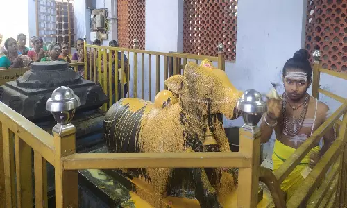 கன்னியாகுமரி பகுதியில்12 சிவாலயங்களில் பிரதோஷ வழிபாடு