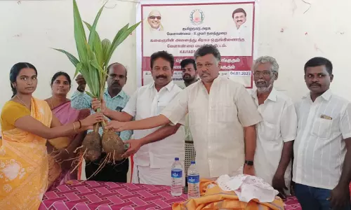விவசாயிகளுக்கு இலவச தென்னங்கன்றுகள்
