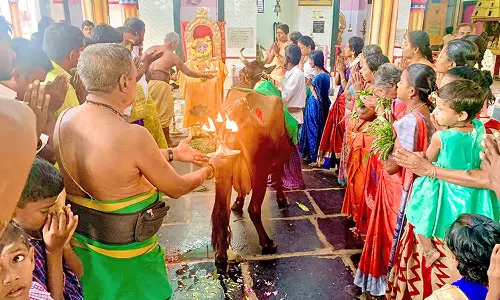 கோவில்பட்டி புற்றுக்கோவிலில் ஆருத்ரா தரிசன சிறப்பு பூஜை