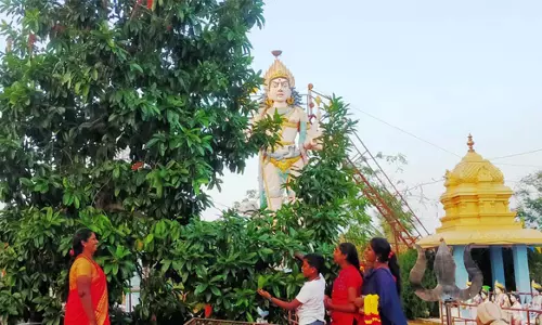 ஓம்சக்தி சித்தர் கோவிலில் காய்த்துக் குலுங்கும் ருத்ராட்ச மரம்