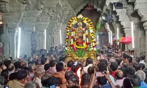 திருவாதிரை திருவிழா : நெல்லையப்பர் கோவில் தாமிரசபையில்  ஆருத்ரா தரிசனம் கோலாகலம்