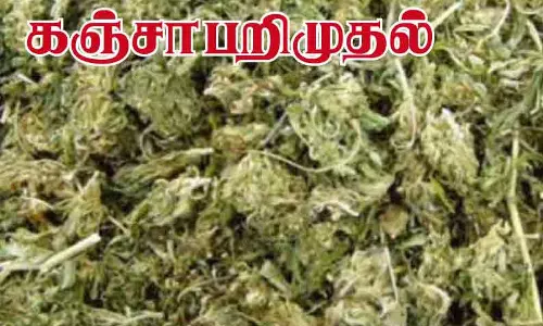 கஞ்சா வைத்திருந்த 3 வாலிபர்கள் கைது