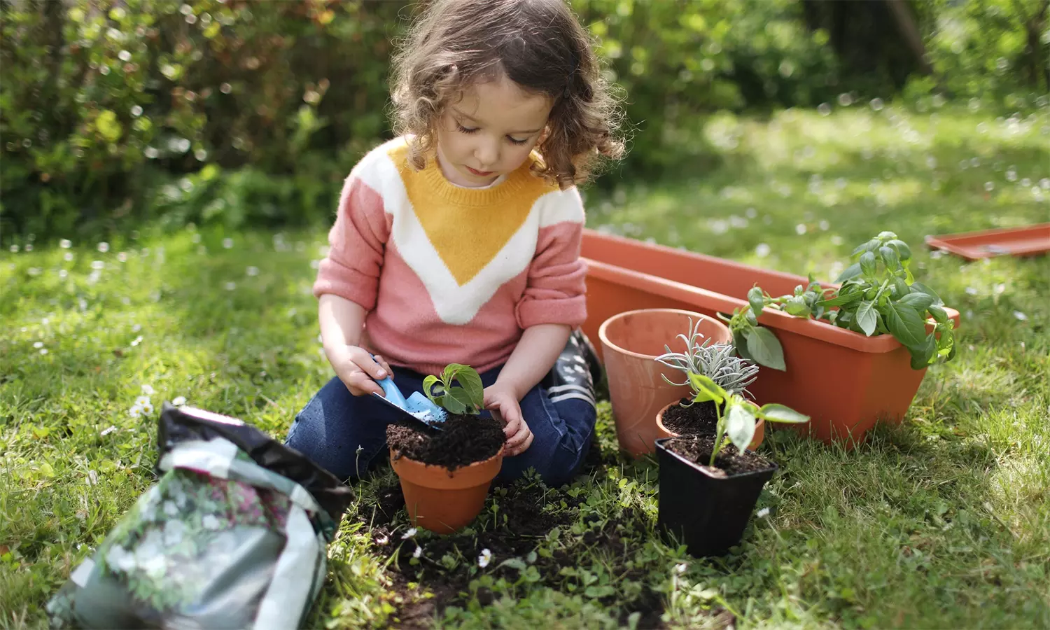 குழந்தைகளும் செடி வளர்க்கலாம் குழந்தைகளும் செடி வளர்க்கலாம்