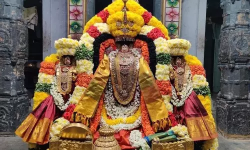 திருவந்திபுரம் தேவநாதசாமி கோவிலில் தைலக்காப்பு உற்சவம் நாளை தொடங்குகிறது