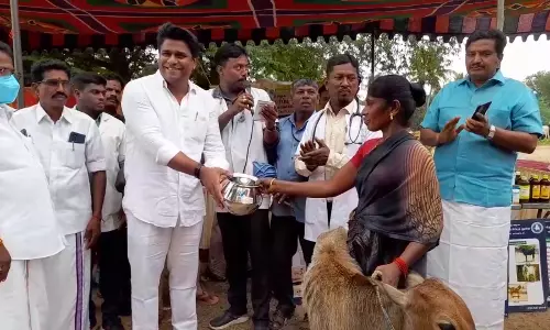 அறந்தாங்கியில் கால்நடை சிறப்பு முகாம்