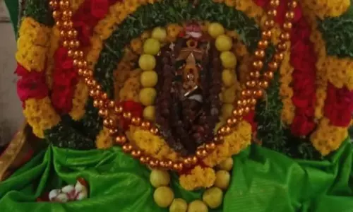 முசிறி அண்ணாமலையார் திருக்கோவிலில் ஆருத்ர தரிசனம்