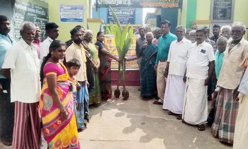 சேர்வைகாரன்பட்டி ஊராட்சியில் விவசாயிகளுக்கு இலவச தென்னங்கன்றுகள்
