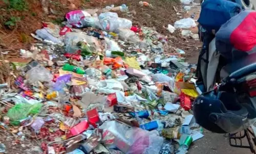 சேரங்கோடு ஊராட்சியில் சாலையோரம் குவிந்து கிடக்கும் பிளாஸ்டிக் கழிவுகள்