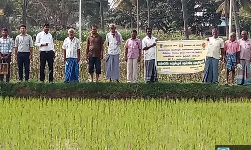 பி.செட்டிஅள்ளி கிராமத்தில்நானோ யூரியா குறித்து விவசாயிகளுக்கு செயல்விளக்கம்