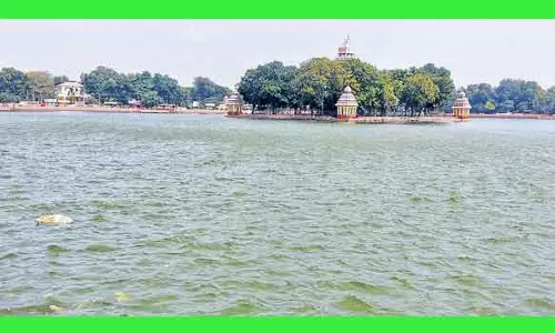 மீனாட்சி அம்மன் கோவில் தெப்பத் திருவிழா