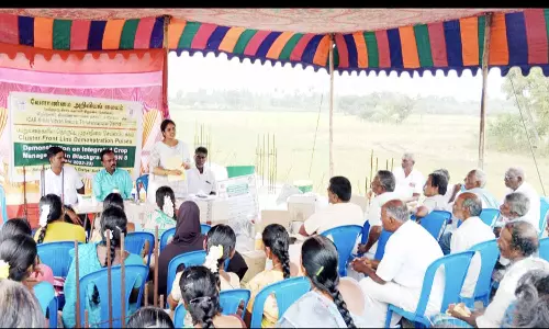 பயிர் மேலாண்மை குறித்து பயிற்சி முகாம்
