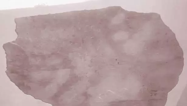 அங்கன்வாடி கட்டிட மேற்கூரை சிமெண்டு பெயர்ந்து விழுந்தது 