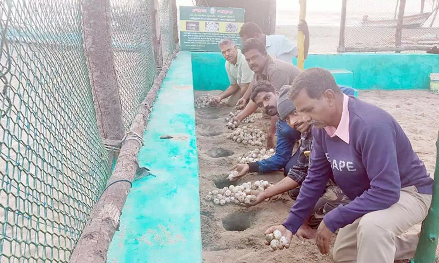 சீர்காழி கடலோர பகுதிகளில் 3265 அரியவகை ஆலிவர் ரெட்லி ஆமை முட்டைகள் சேகரிப்பு-வனஅதிகாரி தகவல் சீர்காழி கடலோர பகுதிகளில் 3265 அரியவகை ஆலிவர் ரெட்லி ஆமை முட்டைகள் சேகரிப்பு-வனஅதிகாரி தகவல்