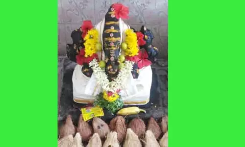 விசாலாட்சி விநாயகர் கோவிலில் 10-ந்தேதி சங்கடஹர சதுர்த்தி விழா