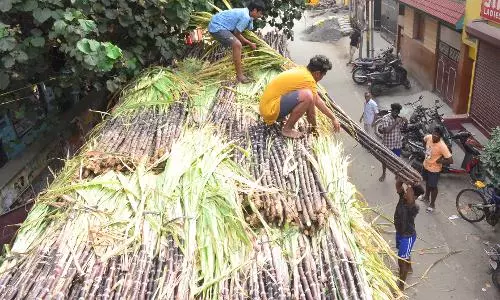 ரேஷன் கடைகளுக்கு கரும்பு கட்டுகள் அனுப்பும் பணி தீவிரம்