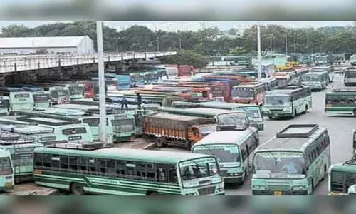 பொங்கல் பண்டிகையை முன்னிட்டு அரசு சிறப்பு பஸ்கள்