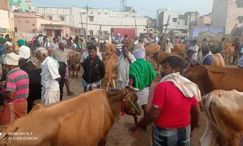 அந்தியூர் சந்தை `களை கட்டியது