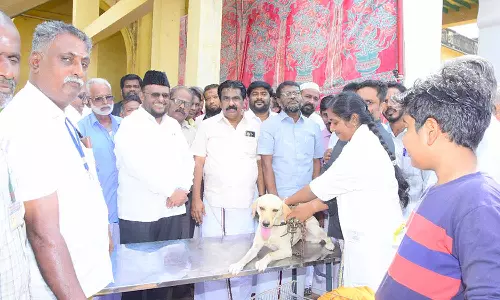 பாபநாசம் ராஜகிரி ஊராட்சியில் இலவச வெறிநோய் தடுப்பூசி முகாம்-ஜவாஹிருல்லா எம்.எல்.ஏ. தொடங்கி வைத்தார்