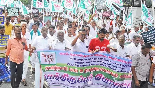 சென்னை ஆவின் அலுவலகத்தில் பால் உற்பத்தியாளர்கள் காத்திருப்பு போராட்டம்