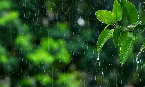 மாவட்டம் முழுவதும் சாரல் மழை