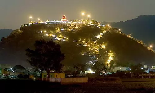 பழனி கோவில் கருவறையில் நவபாஷாண சிலை- பாதுகாப்புக்குழு ஆய்வு