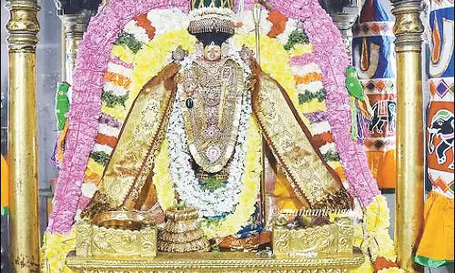 திருவந்திபுரம் தேவநாத சுவாமி கோவிலில் தைலக்காப்பு உற்சவம் தொடங்கியது