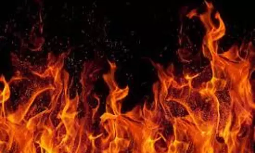 செஞ்சி அருகே நிலக்கரி ஏற்றி வந்த லாரி தீ பிடித்ததால் பரபரப்பு