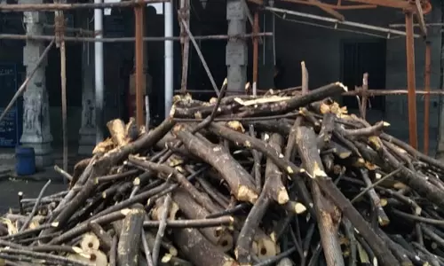 பாரியூர் கொண்டத்து காளியம்மன் கோவிலில் குண்டம் இறங்கும் விழா