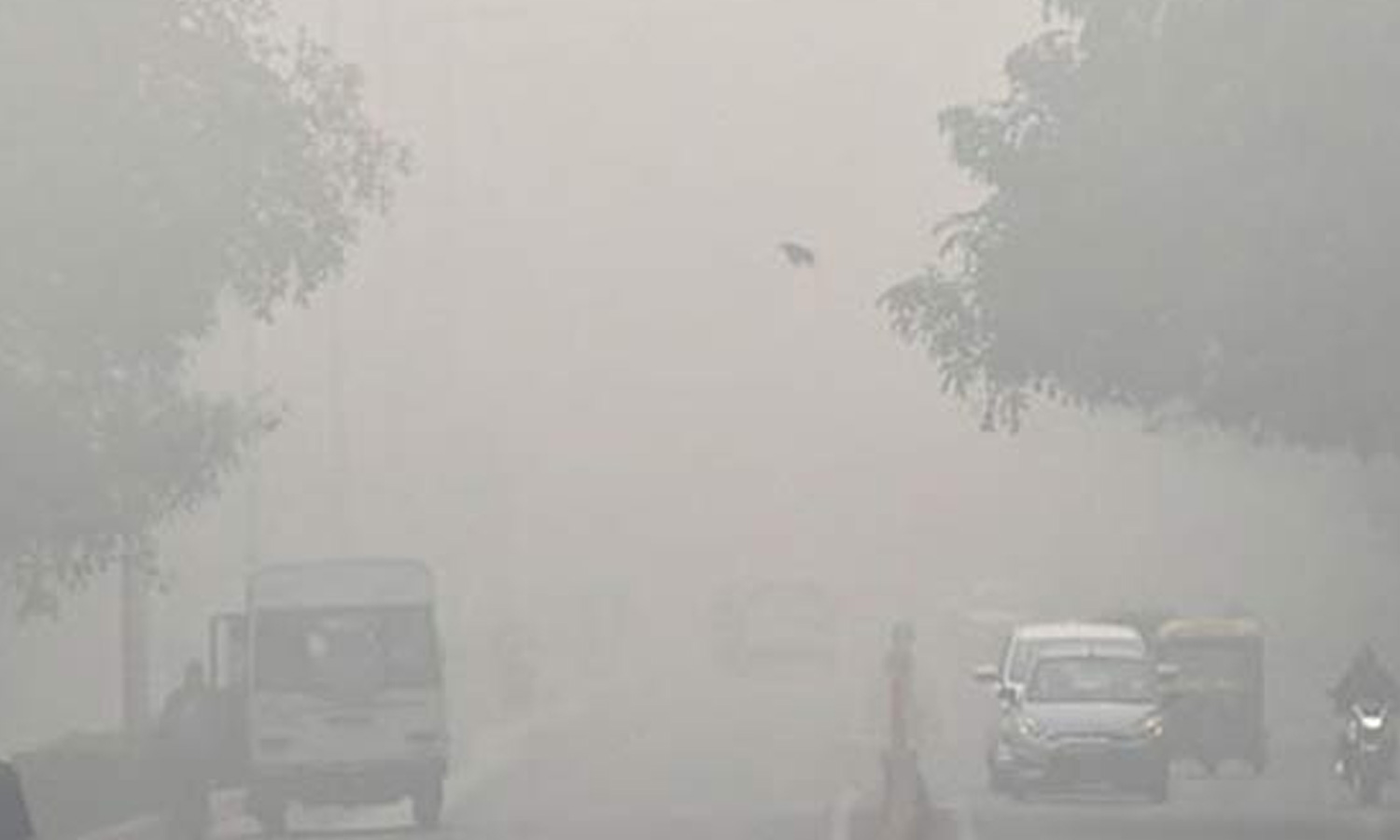 அதிகாலை நேர பனி மூட்டம் மேலும் 2 நாட்களுக்கு நீடிக்கும்-  வானிலை ஆய்வு மையம் தகவல்