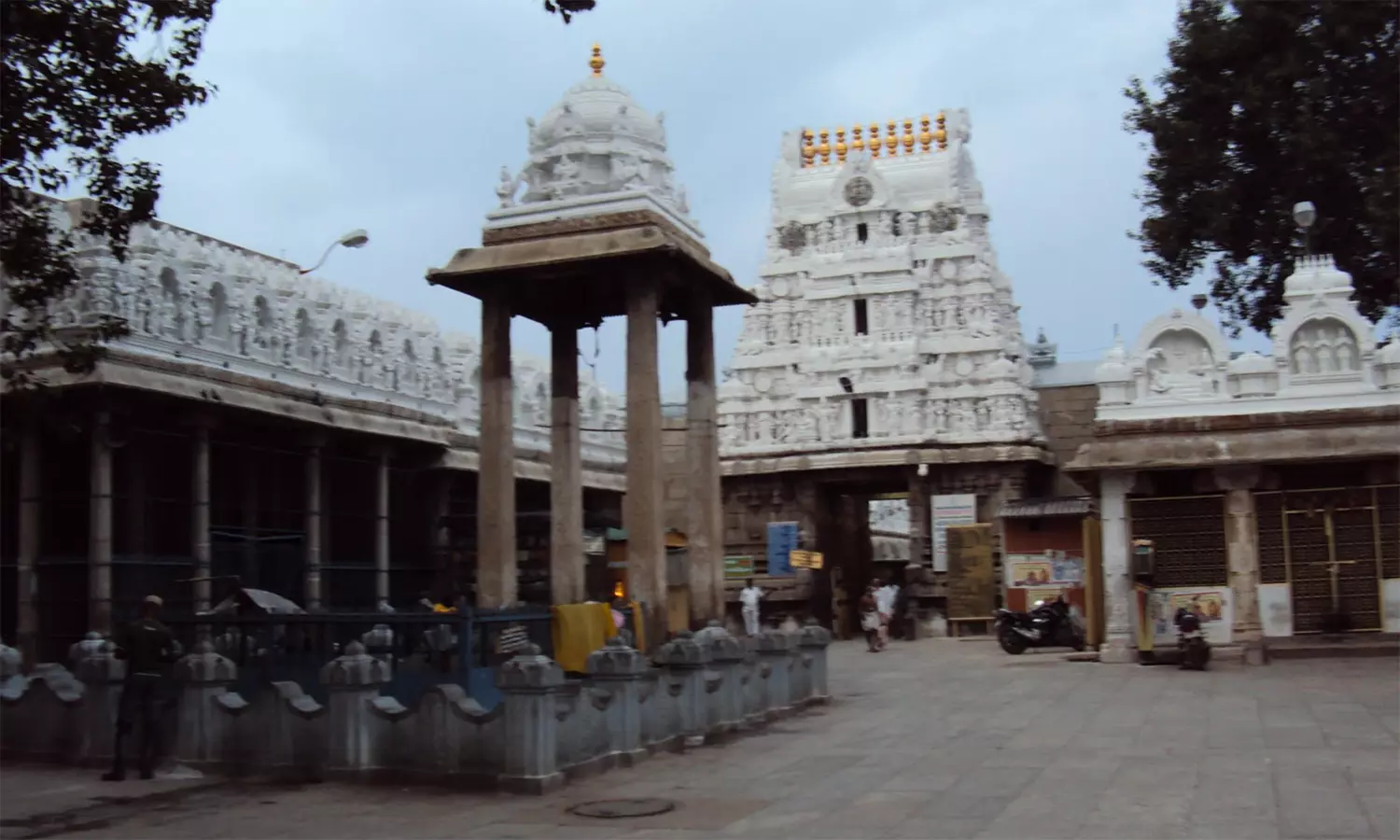 திருப்பதி கோவிந்தராஜசாமி கோவிலில் போகி தேர் 14-ந்தேதி நடக்கிறது