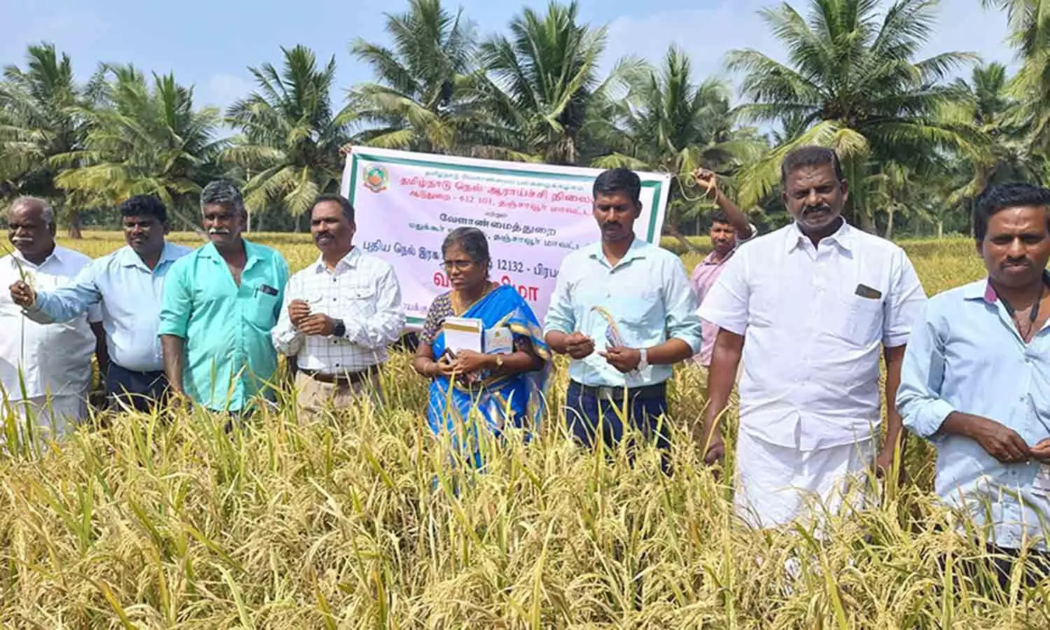 வயல் தின விழா வயல் தின விழா