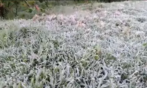 கொடைக்கானலில் உச்சகட்ட உறைபனியால் பொதுமக்கள் தவிப்பு