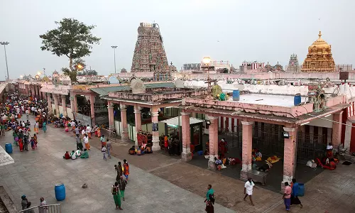 பழனி கோவிலில் கும்பாபிஷேக பணி தீவிரம்: நவபாஷாண சிலையை பாதுகாப்பு குழு ஆய்வு