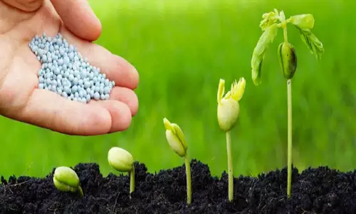 விவசாயிகளுக்கு மானிய விலையில் விதை-உரம் 