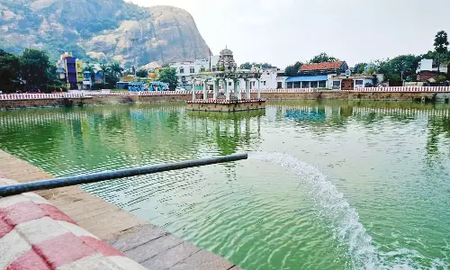 திருப்பரங்குன்றம் முருகன் கோவிலில் தெப்பத்திருவிழா 22-ந்தேதி தொடங்குகிறது