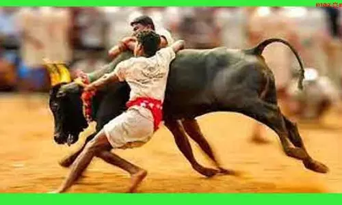 ஜல்லிக்கட்டு போட்டியை பொதுமக்கள் கமிட்டியினர் நடத்த அனுமதிக்க வேண்டும்